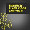 image:imageGeneral Hydroponics RapidStart for Root Branching 1 L125 ml