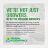 image:imageGeneral Hydroponics FloraMicro 1 QuartFloraMicro