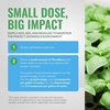 image:imageGeneral Hydroponics HGC718805 FloraNova Grow 7410 Robust Strength of Dry Fertilizer But in Rapid Liquid Form Use for Hydroponics Soilless Mixtures Containers amp Garden Grown Plants 1Gallon1 quart