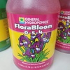 FloraBloom