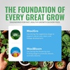 image:imageGeneral Hydroponics MaxiGro Plant Food for Vigorous Growth 22 lbsMaxiGro